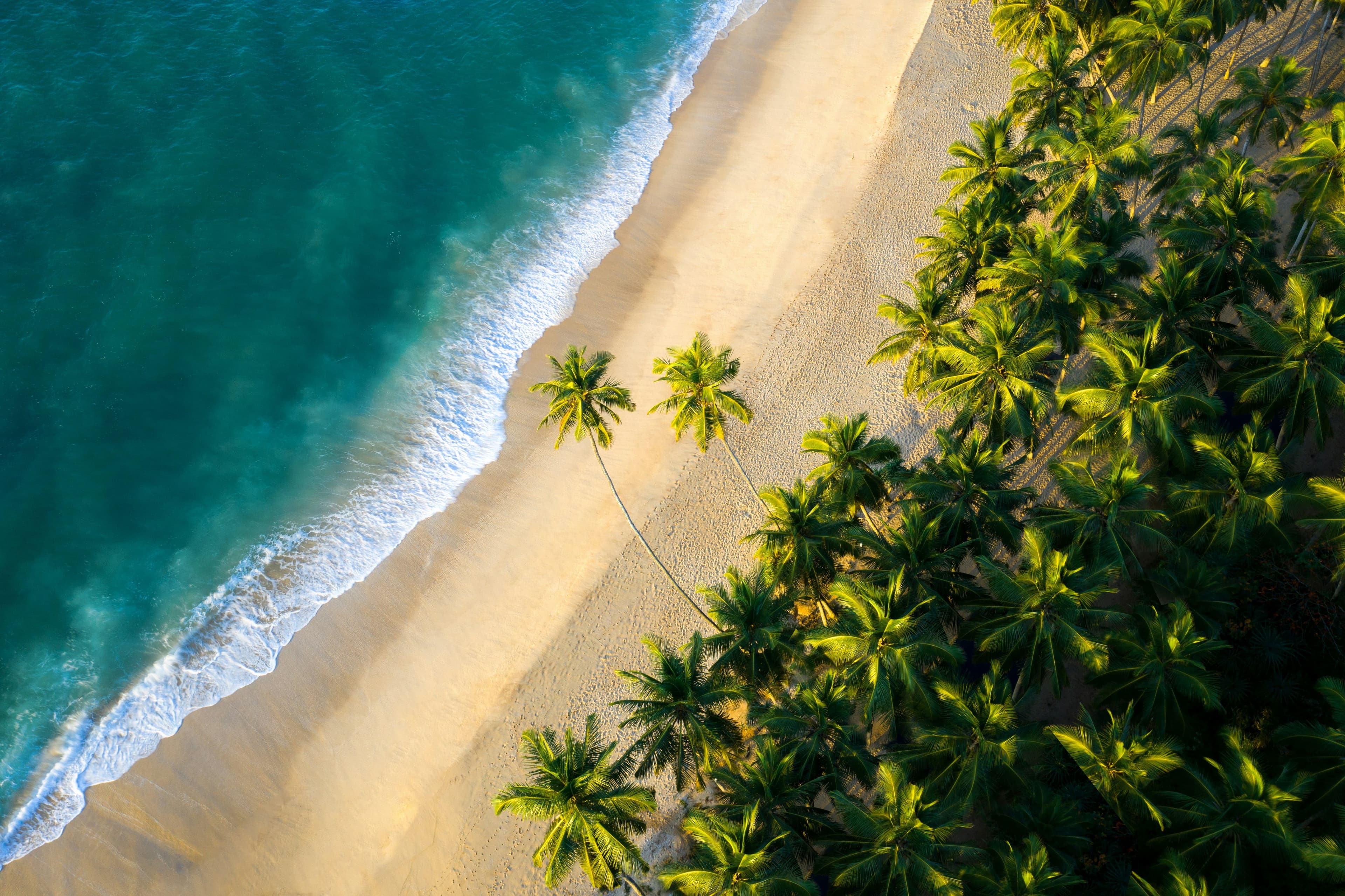 une plage du sri lanka