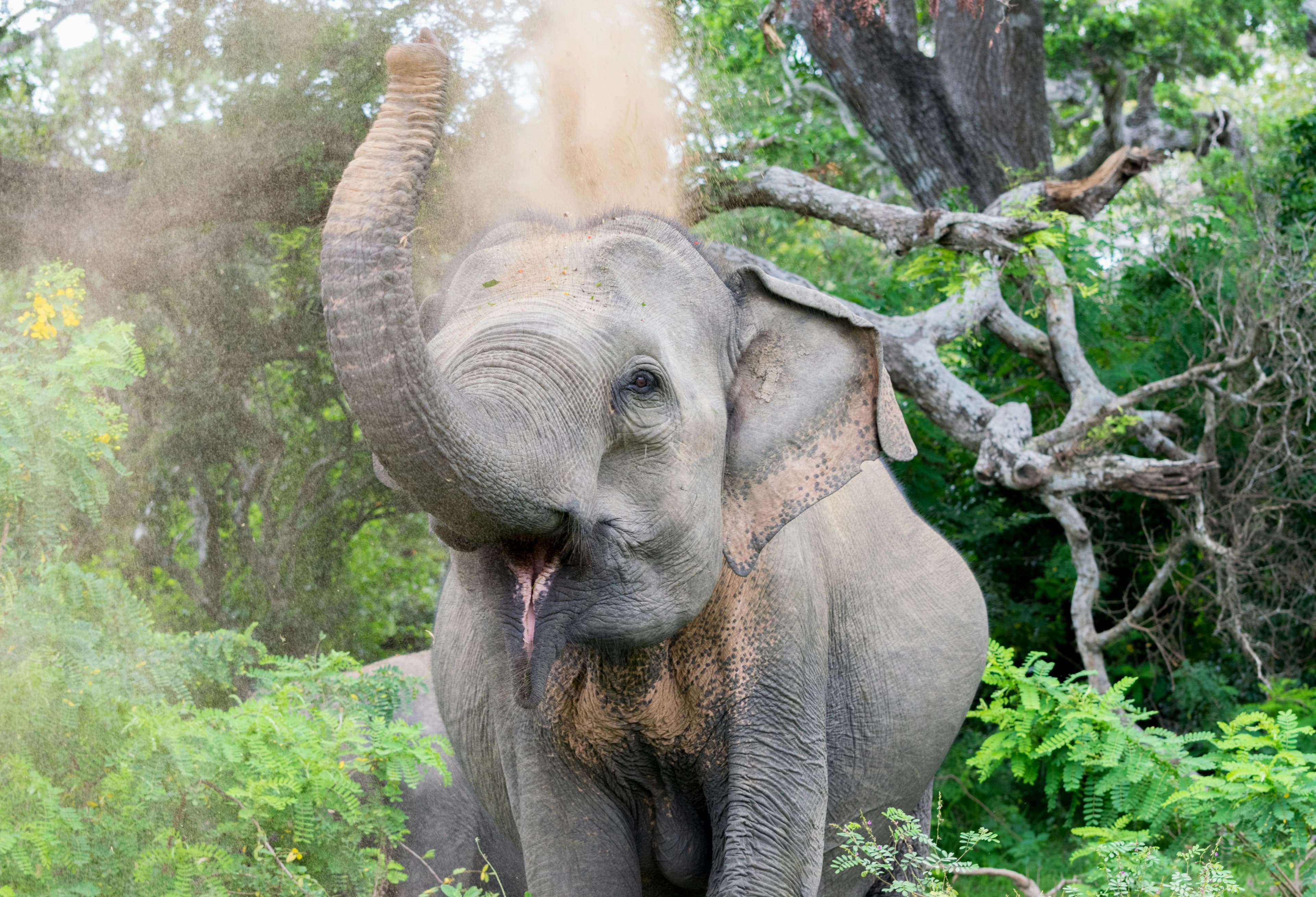 Sri Lanka scenic view 3