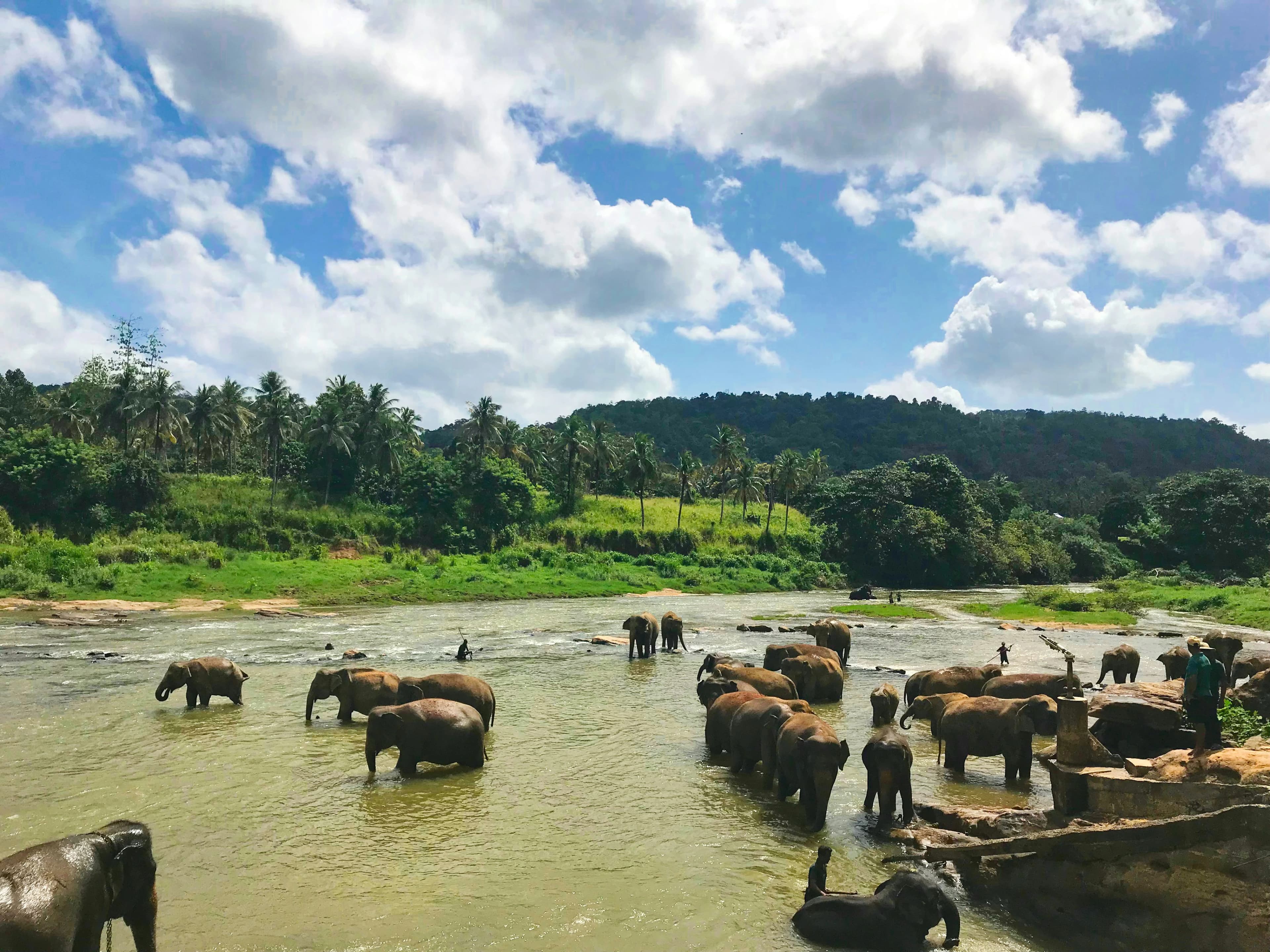 Sri Lanka scenic view 4