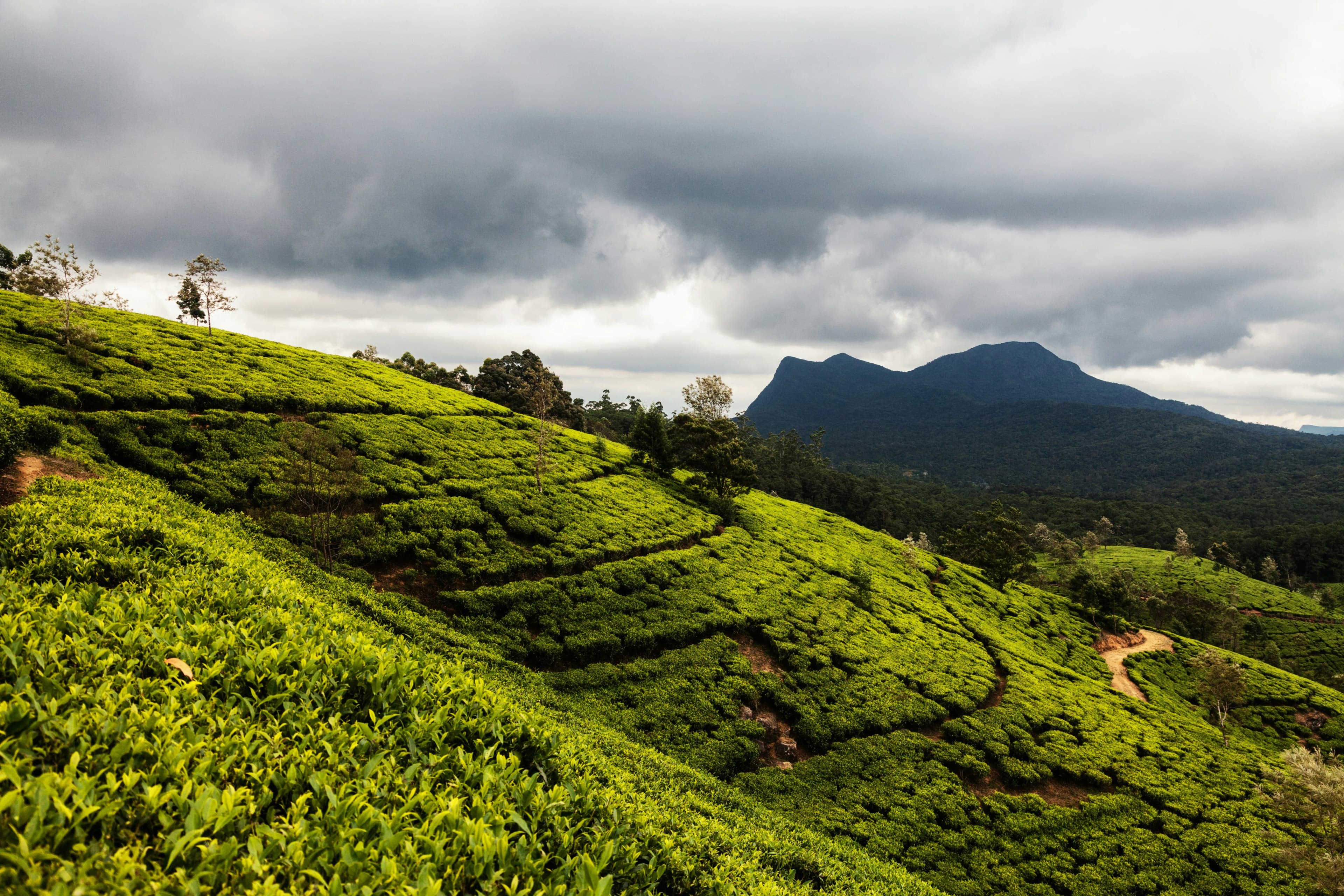 Sri Lanka scenic view 6