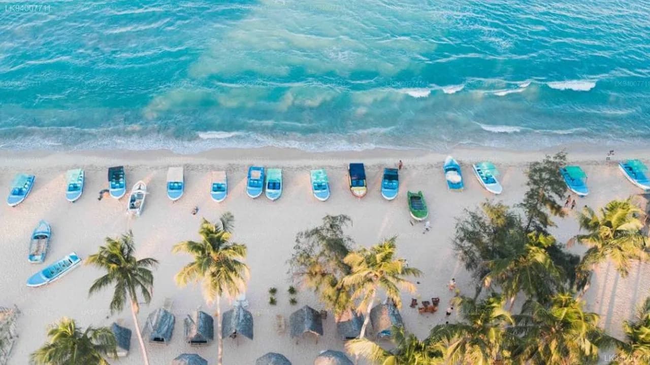 Circuit de la Plage: Sri Lanka Été Farniente à Trincomalee: 12 Jour, 11 Nuit vacances d'été: Code: HDFRBCLXSUM2